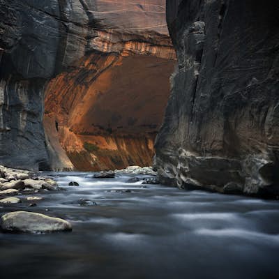 Hike the Narrows in Zion NP