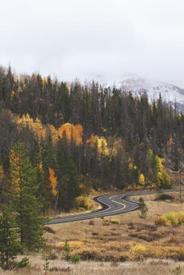 View Fall Color on Cameron Pass