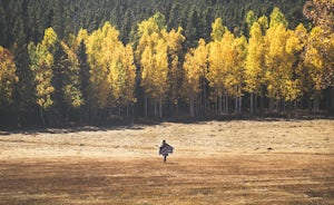 Colorado Fall Foliage: 5 Amazing Places to Watch the Trees Catch Fire