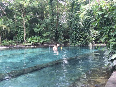 Swim at Oyo de Agua