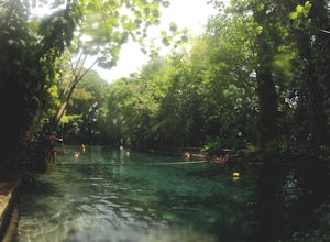 Swim at Oyo de Agua