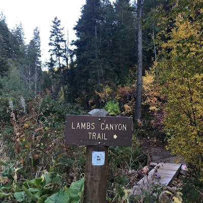 Trail Run or Hike Lambs Canyon