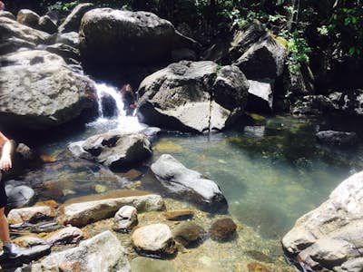 Hike through El Yunque Rainforest