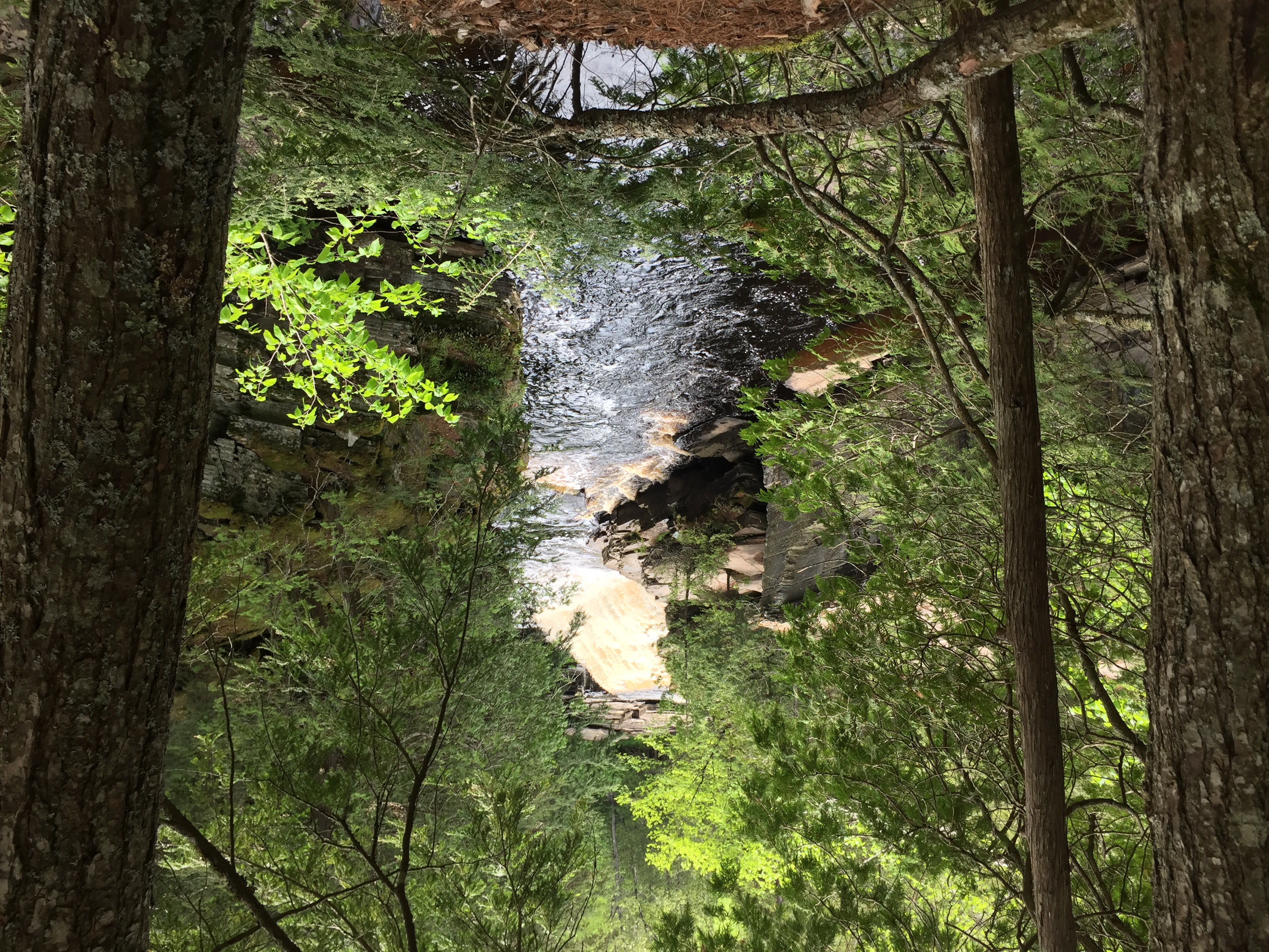 Hike the Canyon Falls Gorge and Jump into Canyon Falls
