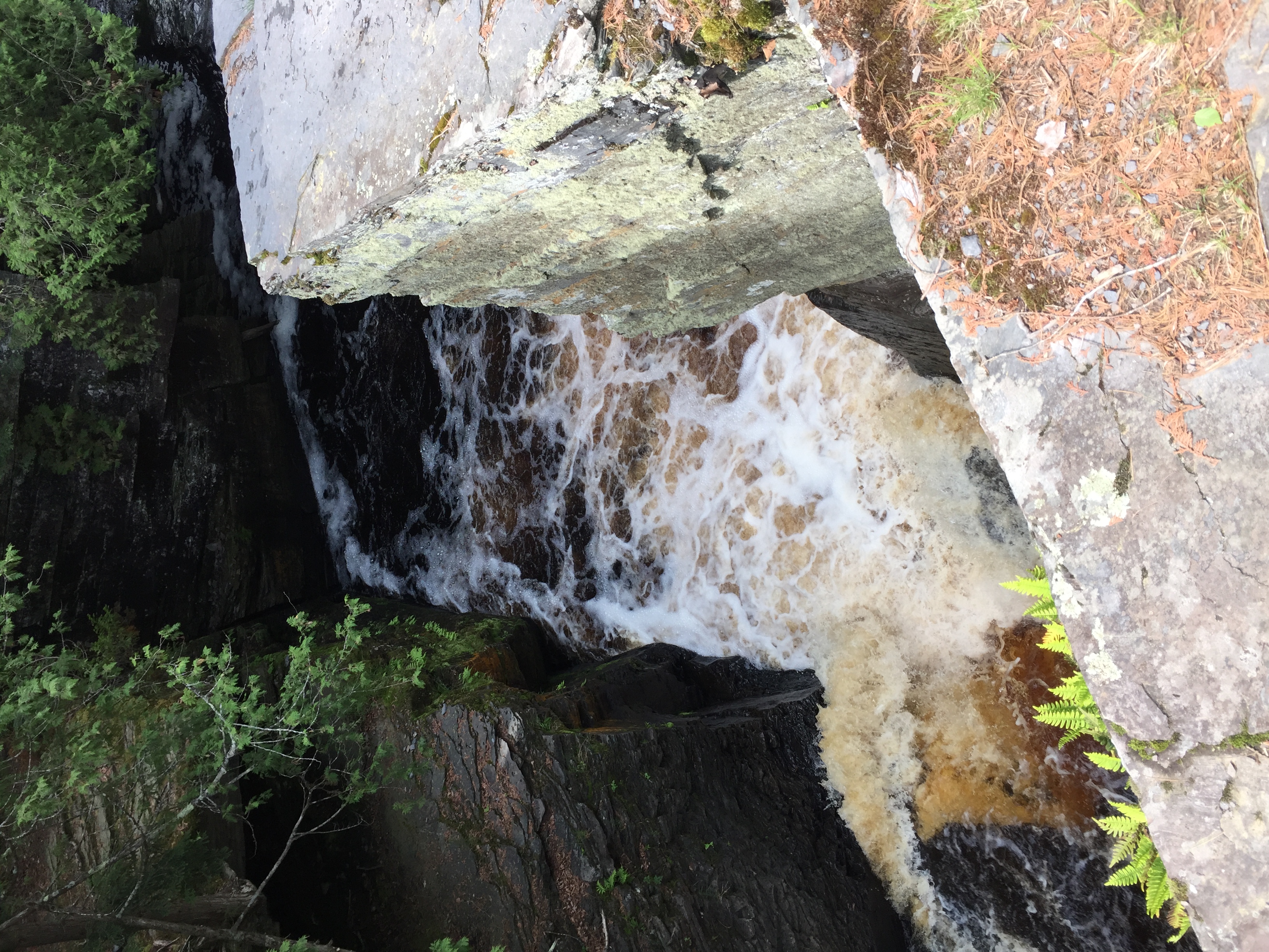 Hike the Canyon Falls Gorge and Jump into Canyon Falls