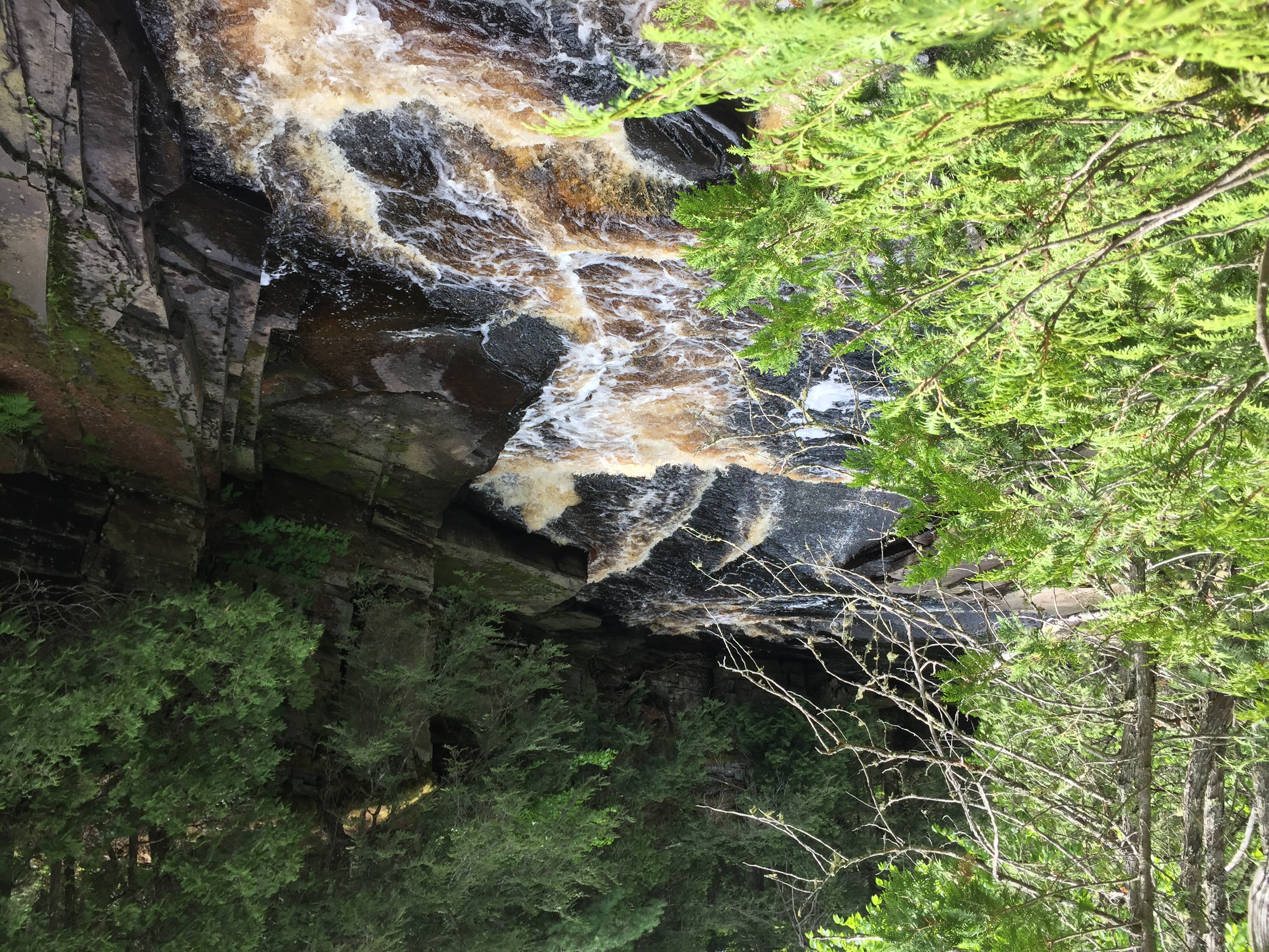 Hike the Canyon Falls Gorge and Jump into Canyon Falls