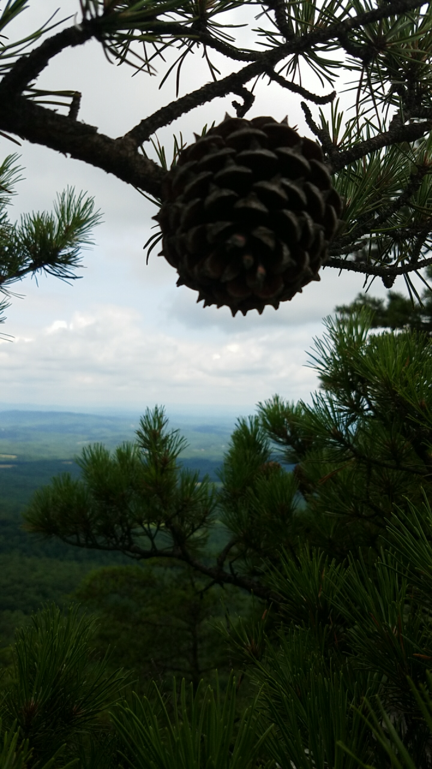 Hanging Rock