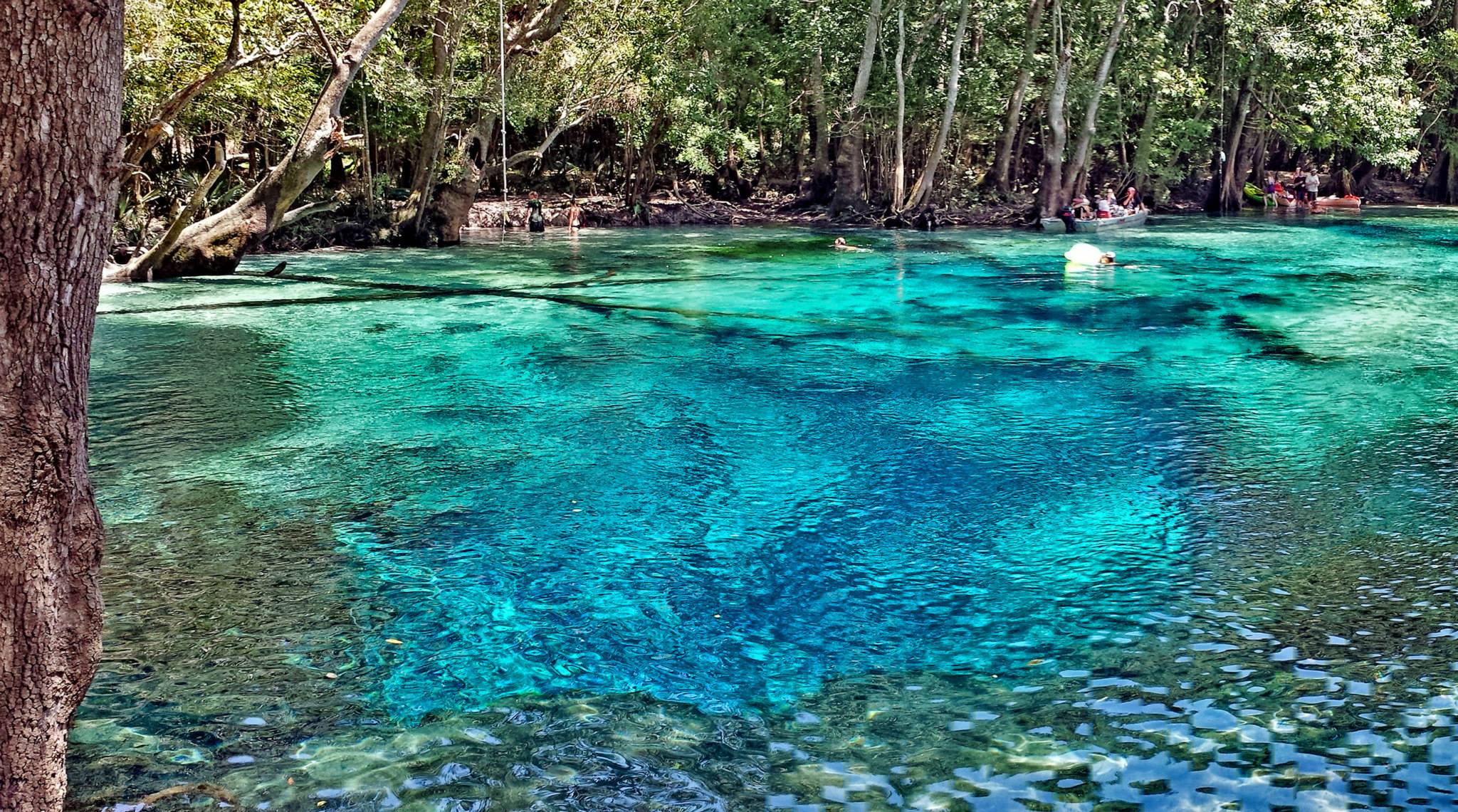 Paddle to Cypress Spring, Vernon, Florida