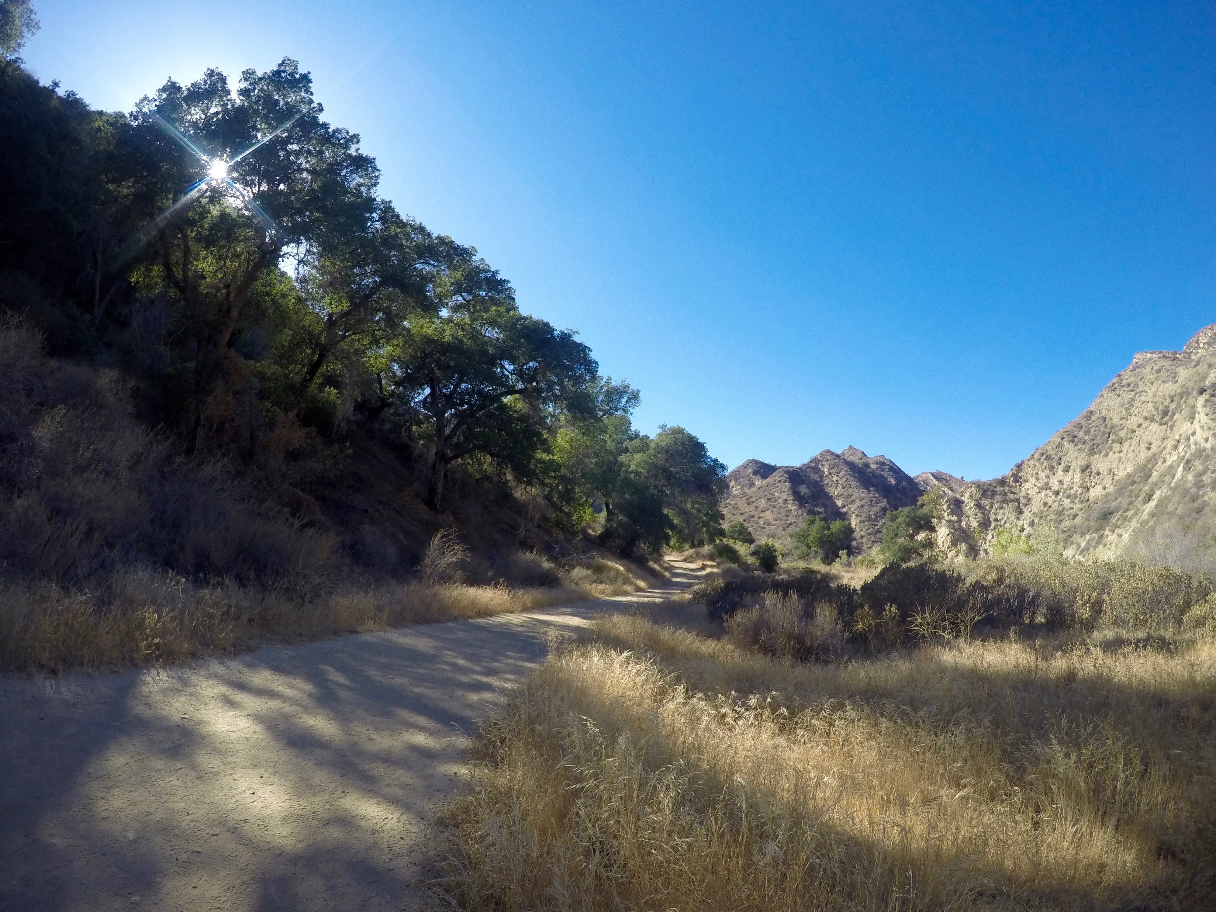 Towsley Canyon Loop