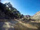 Hike the Towsley Canyon Loop