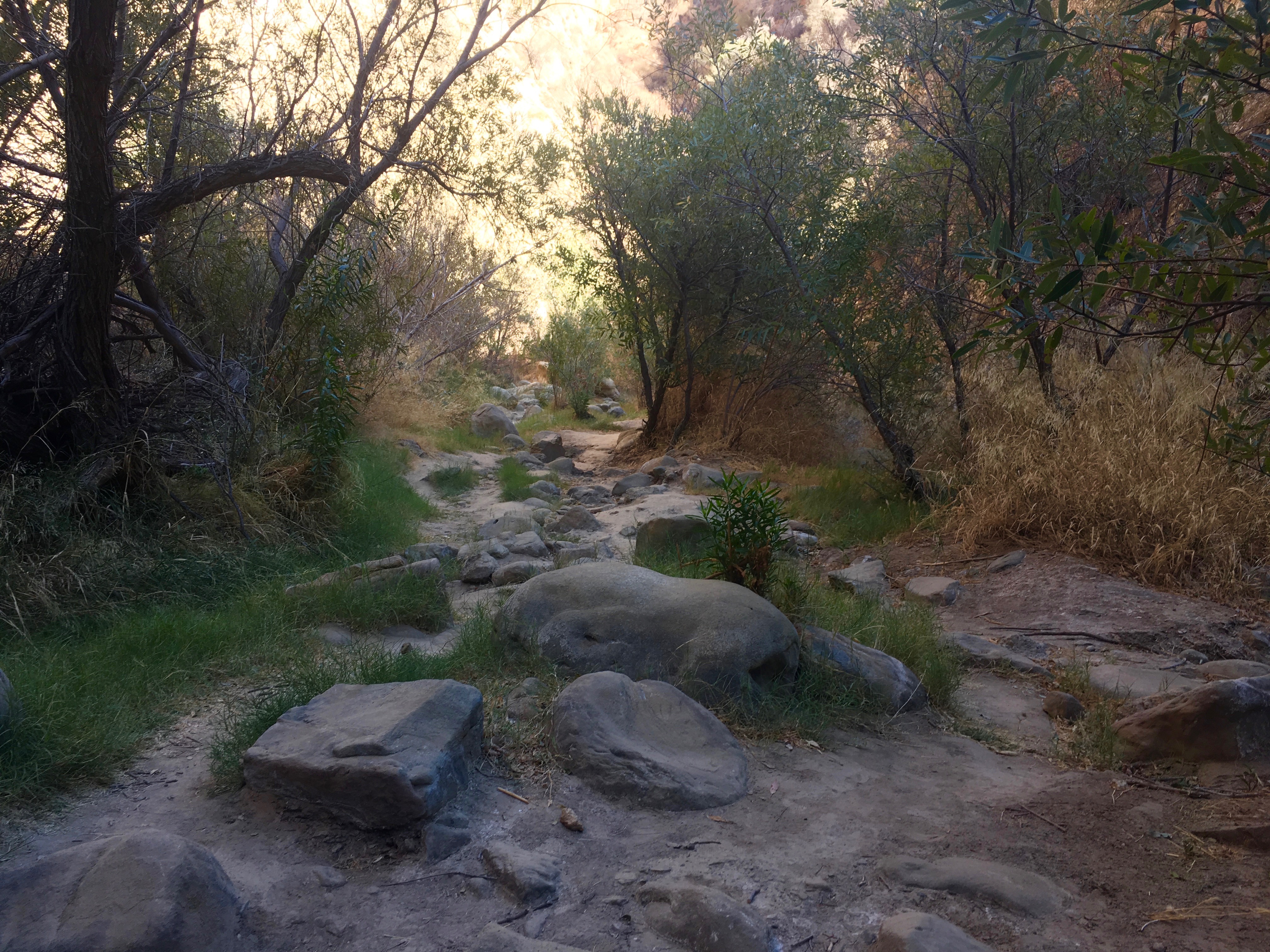 Towsley Canyon Loop