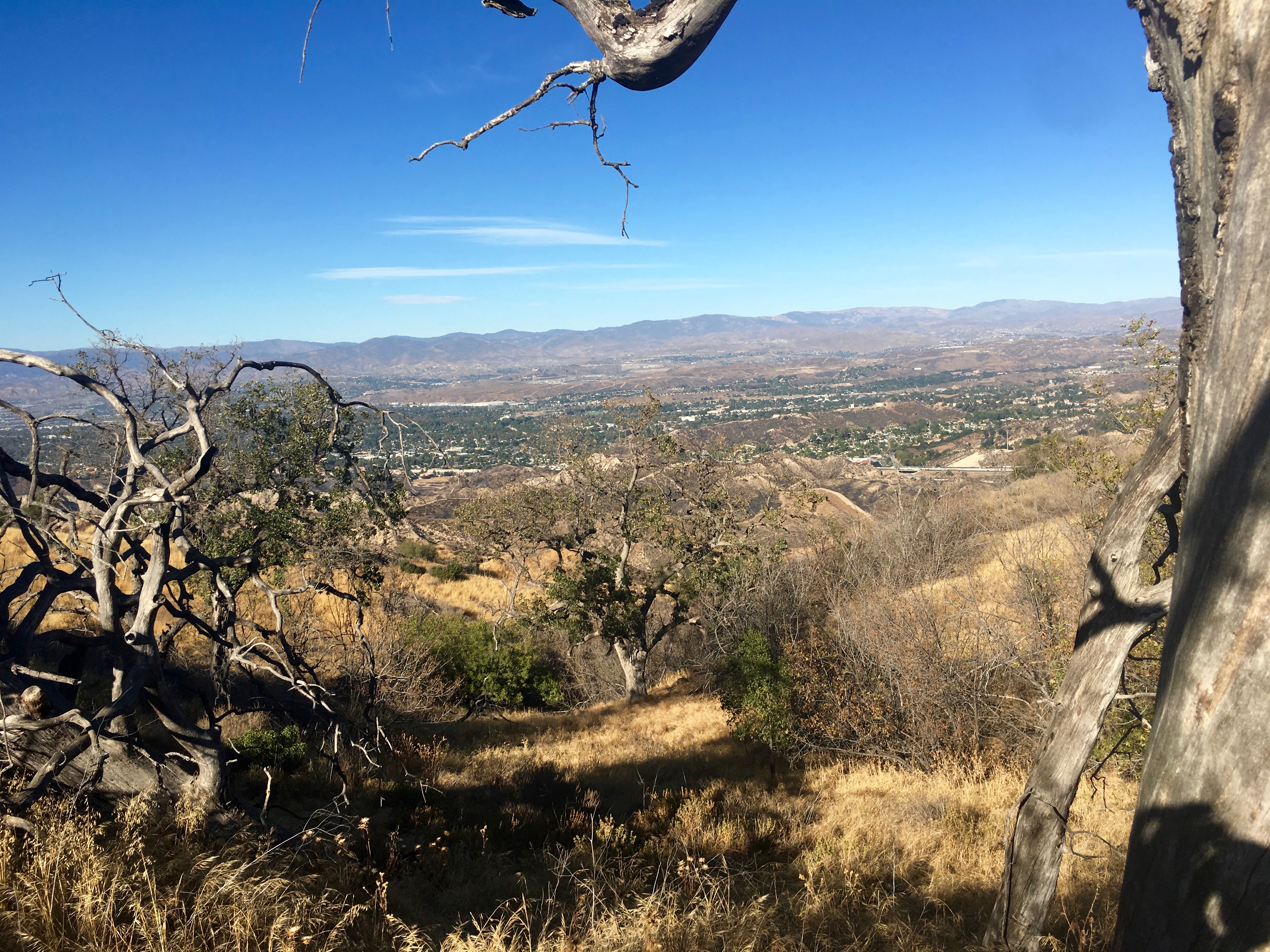 Towsley Canyon Loop