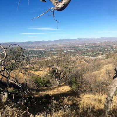Hike the Towsley Canyon Loop