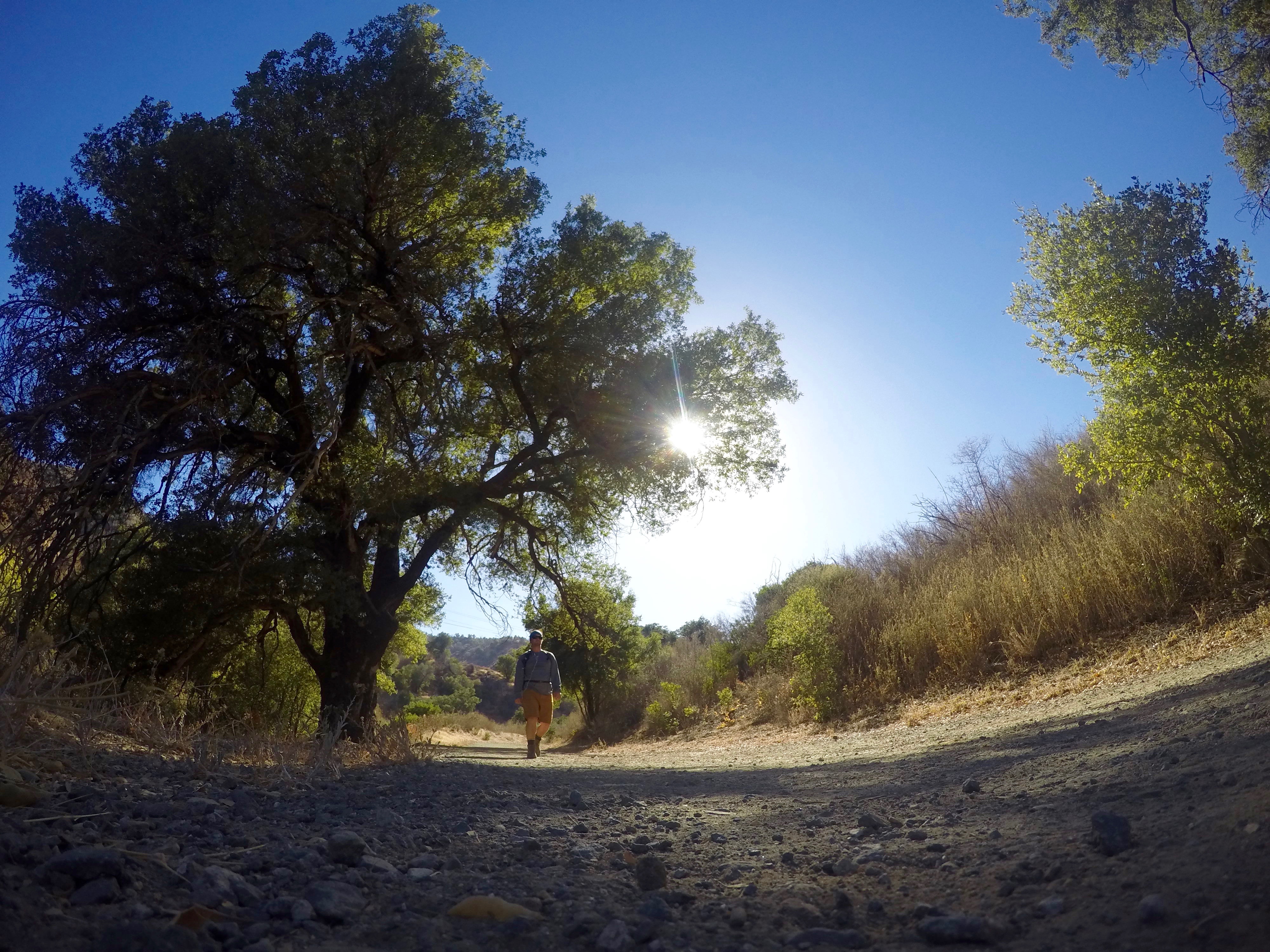 Towsley Canyon Loop