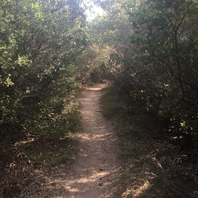 Hike Curra Moors Loop Track