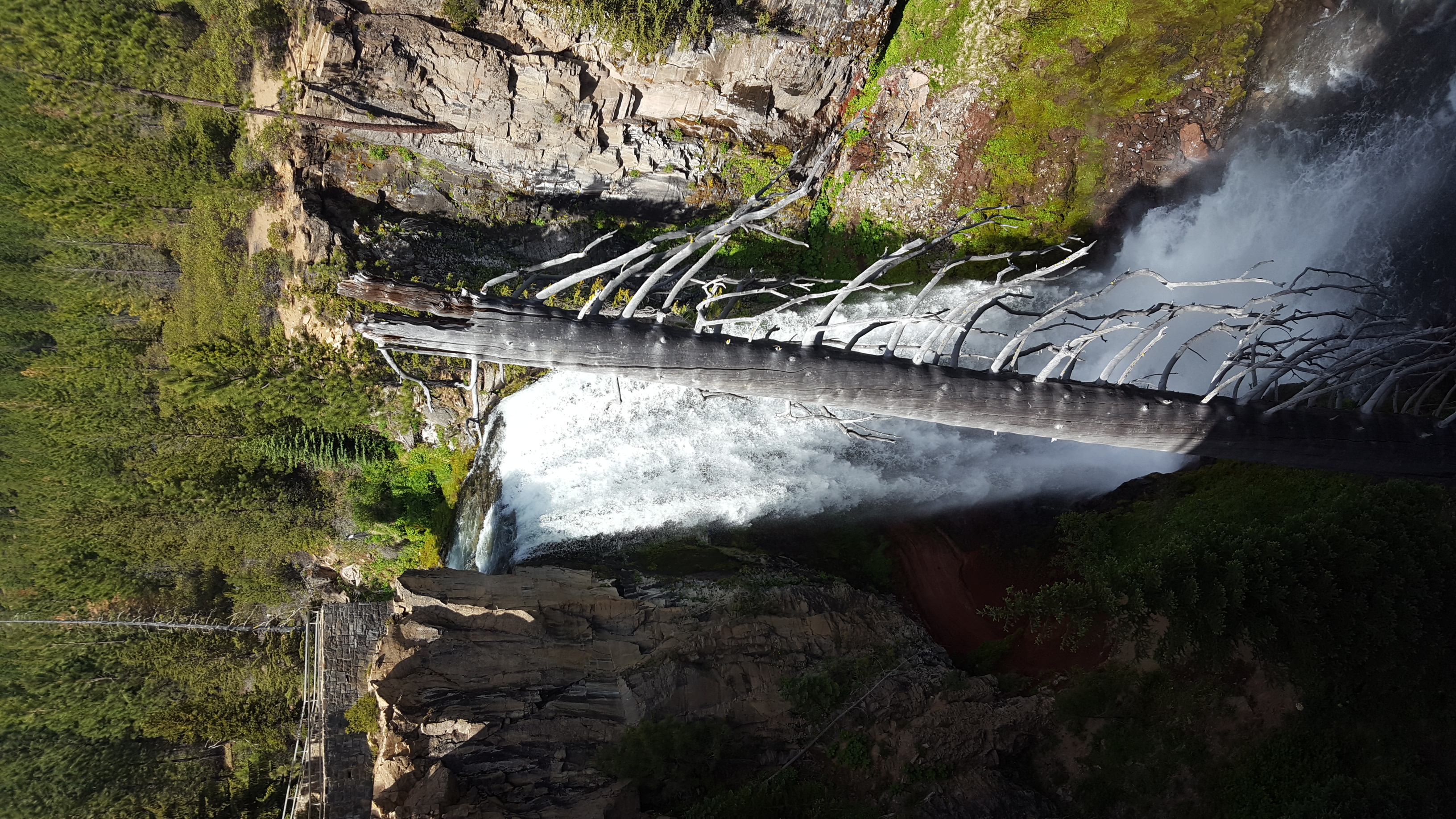 Tumalo Creek Loop