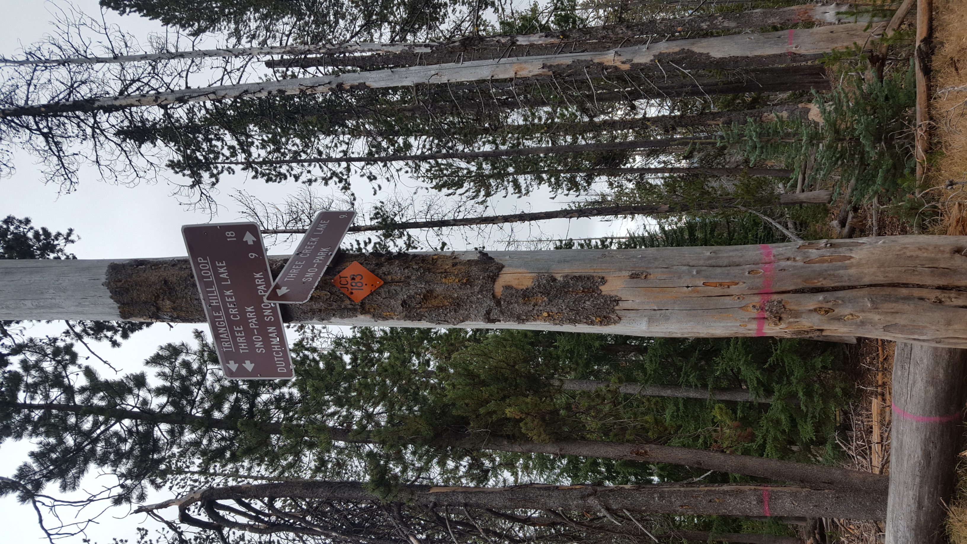 Tumalo Creek Loop