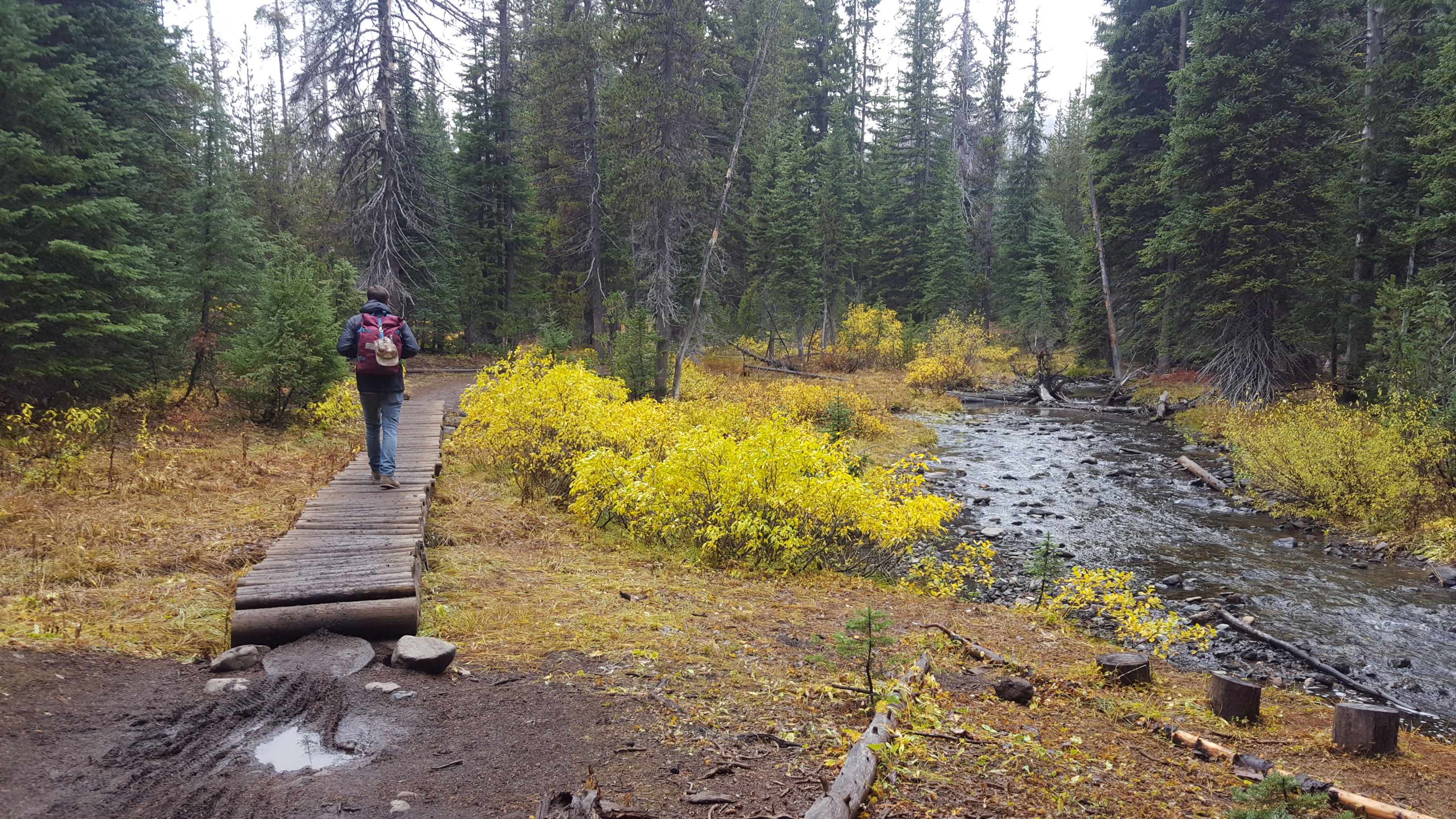 Tumalo Creek Loop