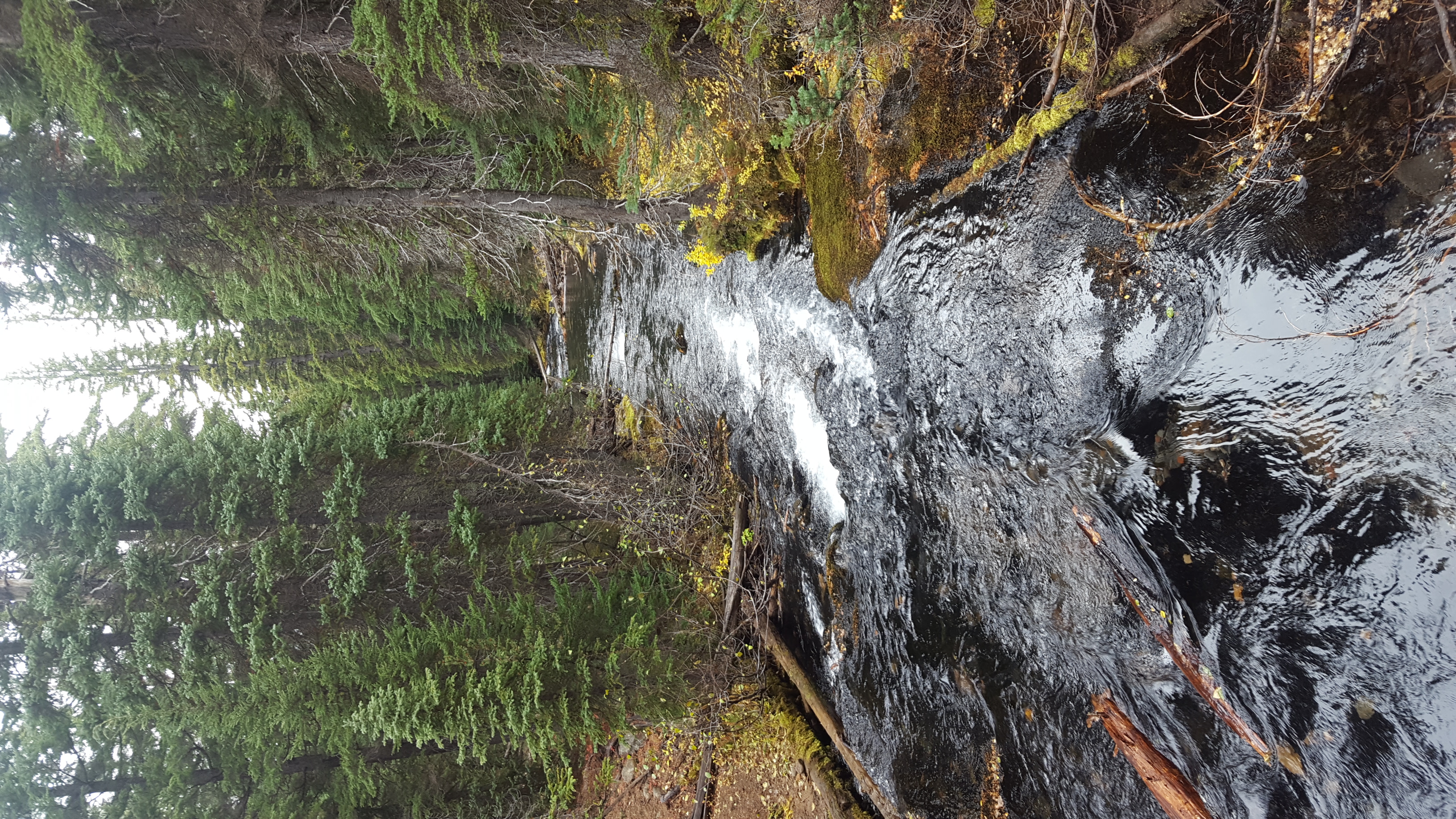 Tumalo Creek Loop