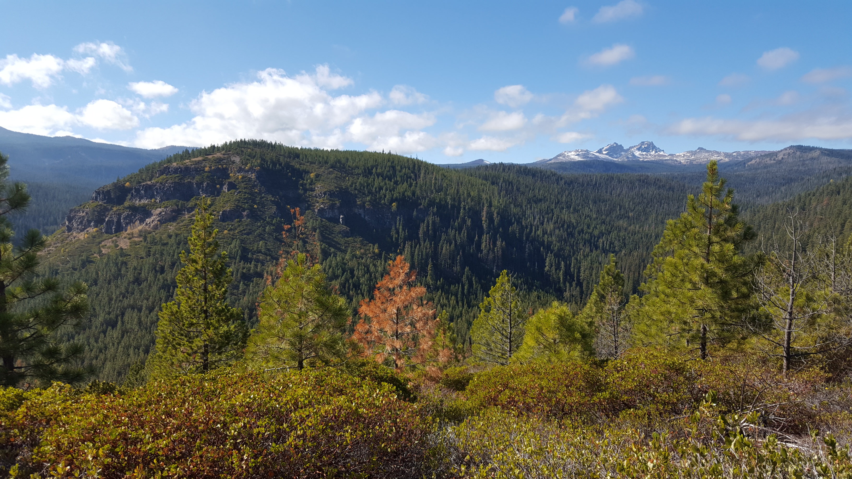 Tumalo Creek Loop