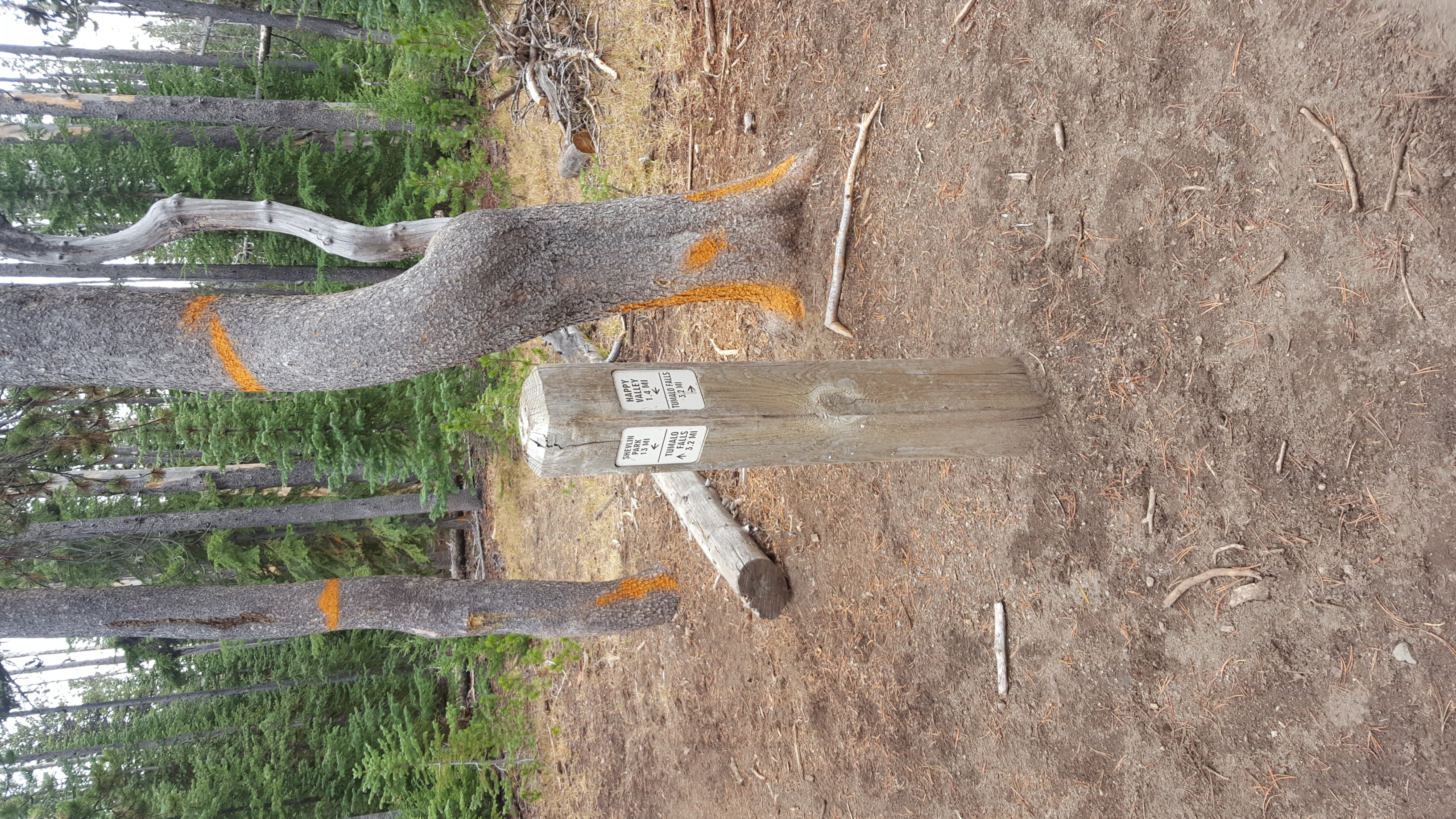 Tumalo Creek Loop
