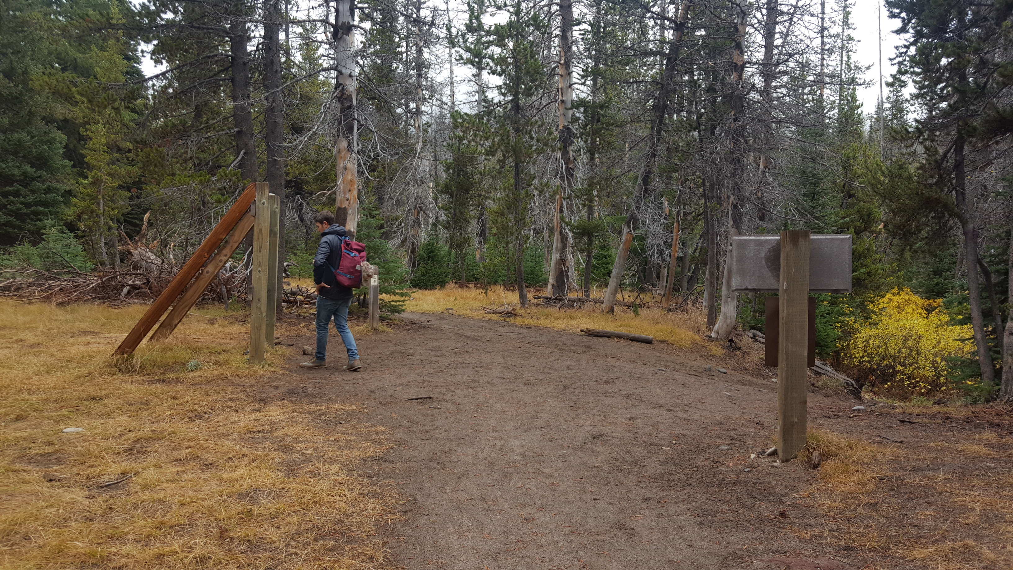 Tumalo Creek Loop
