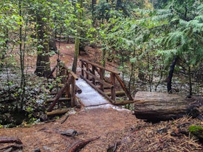 Hike the Shadow of the Giants Trail