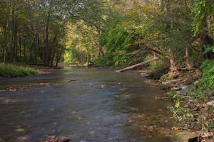 Hike the North Rim of the Little Miami River