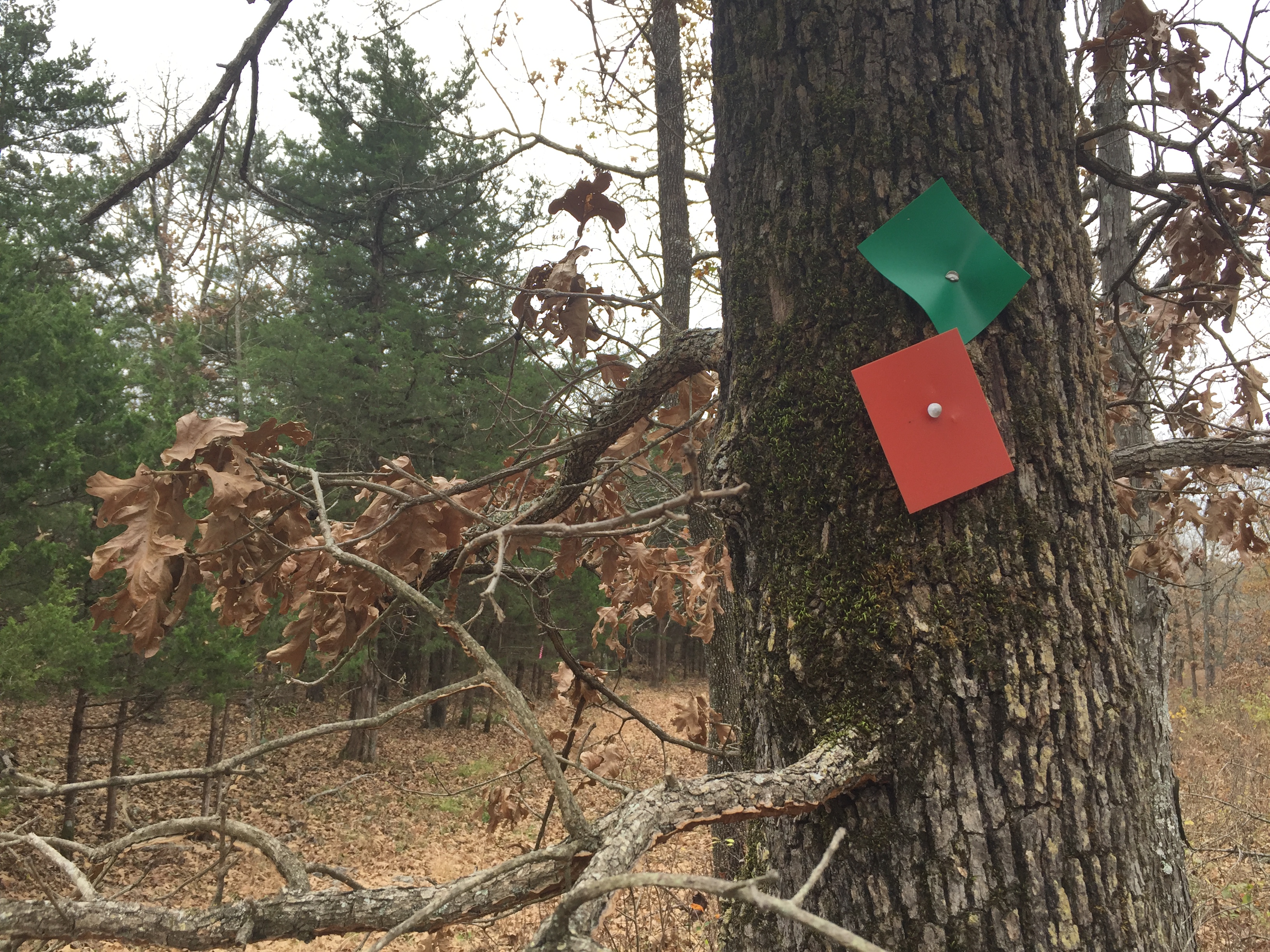 Hike the Trail of Four Winds