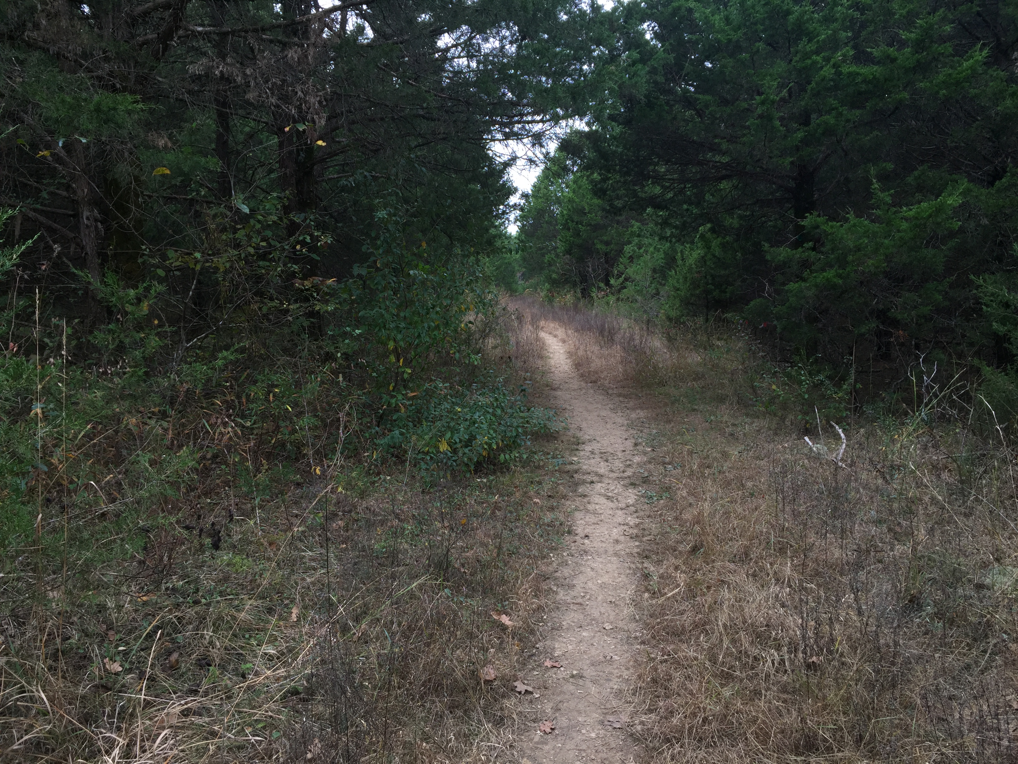Hike the Trail of Four Winds