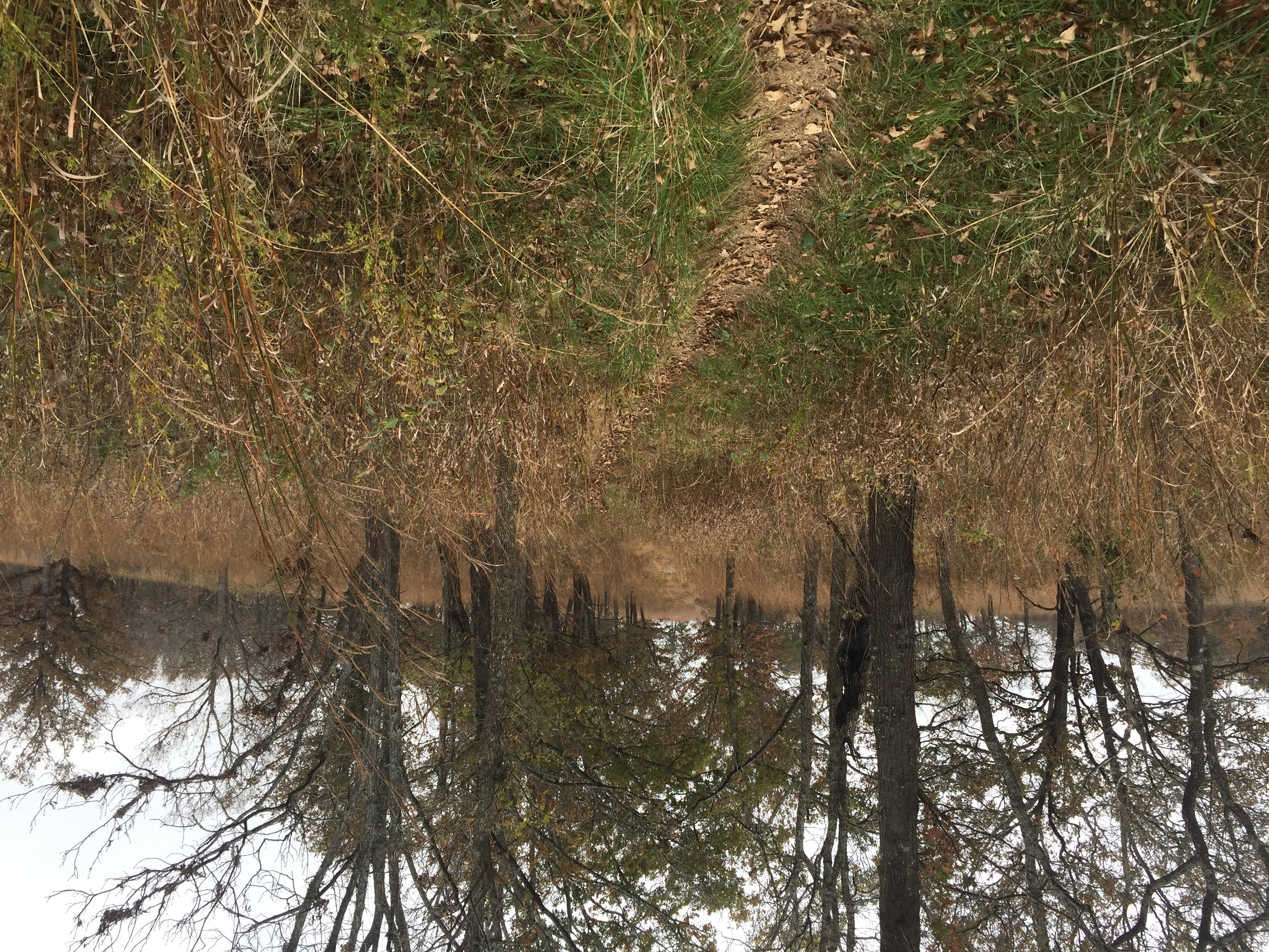 Hike the Trail of Four Winds