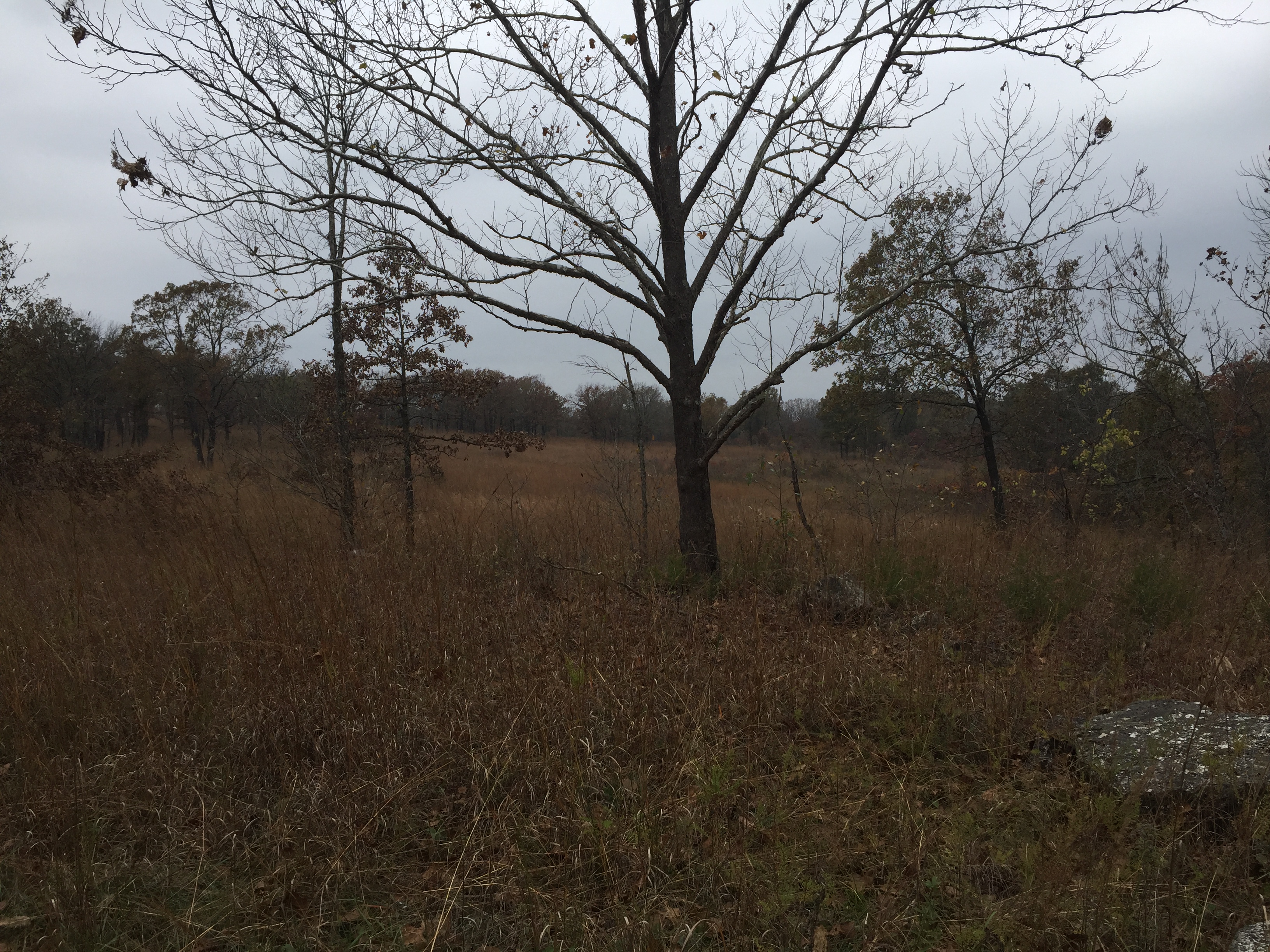 Hike the Trail of Four Winds
