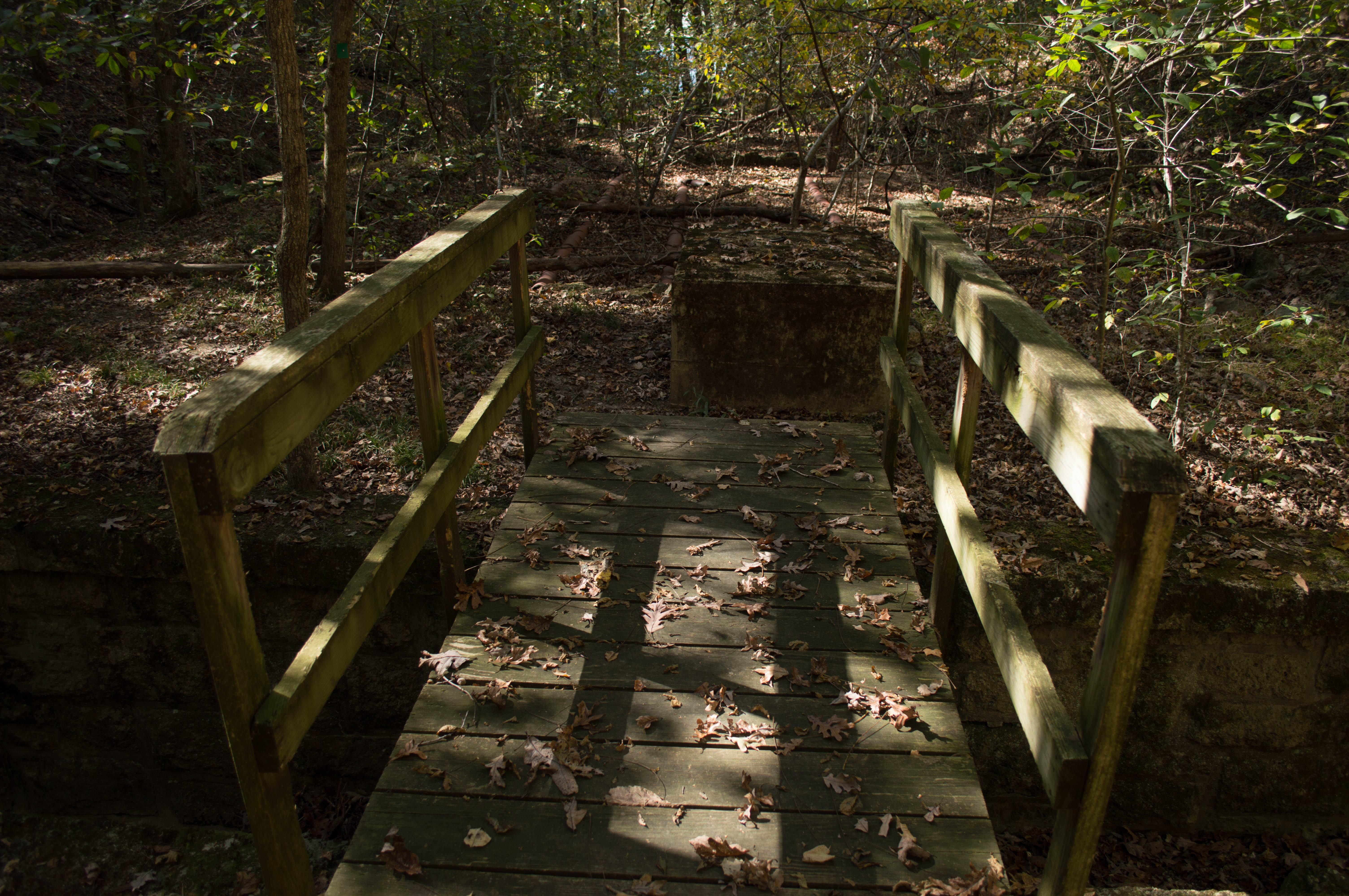 Lake Trail Loop