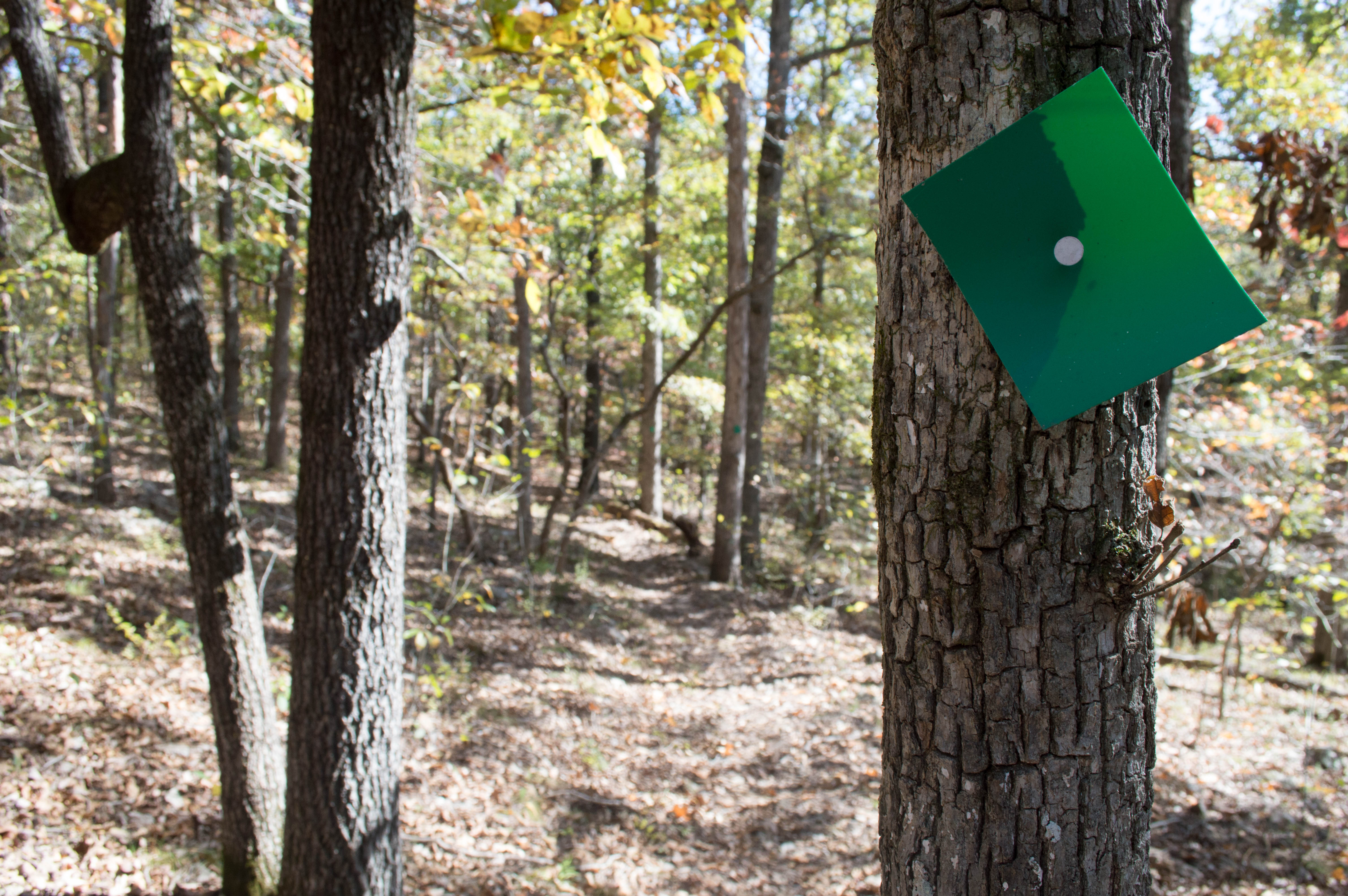 Lake Trail Loop