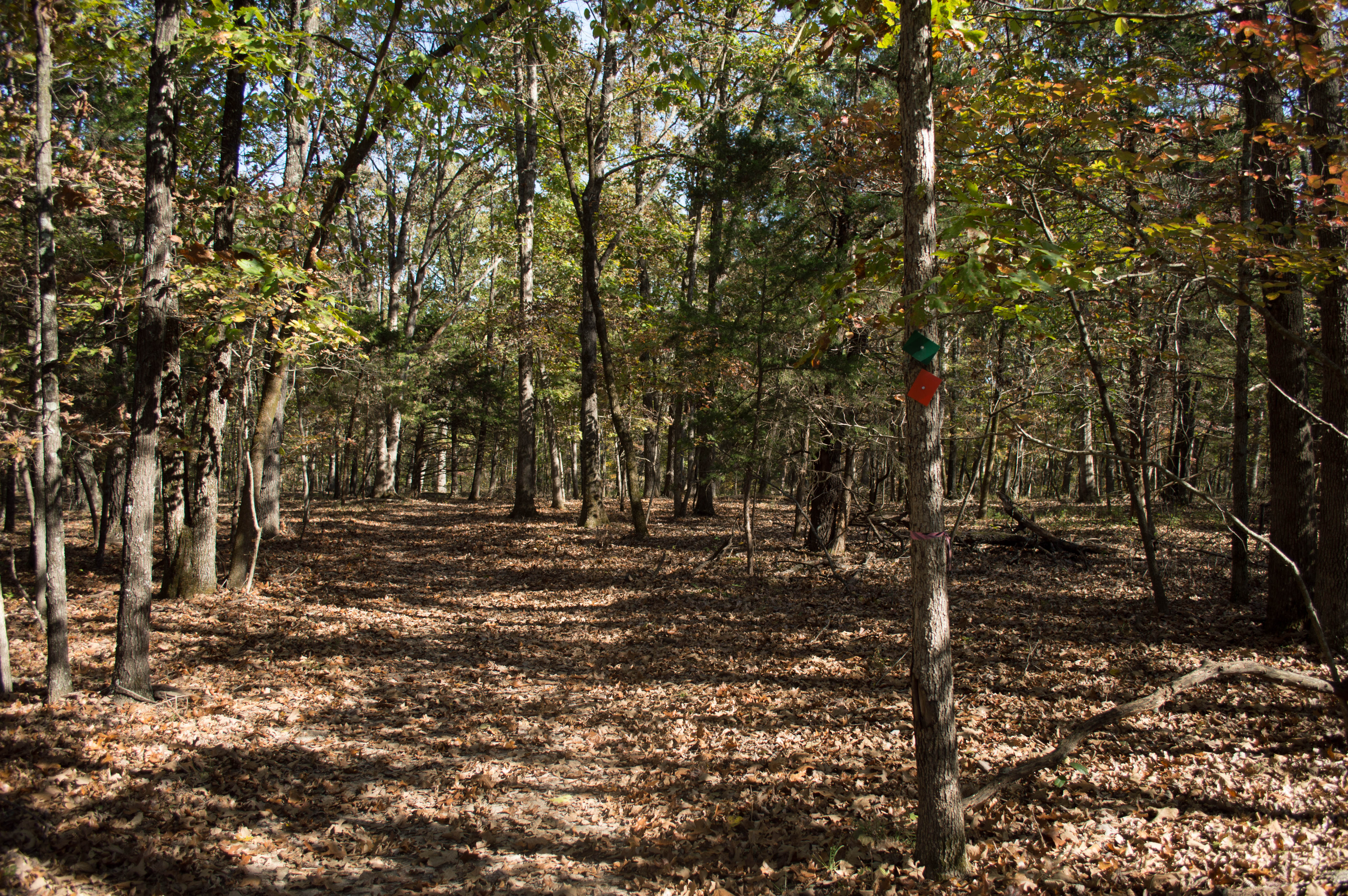 White Oak Trail