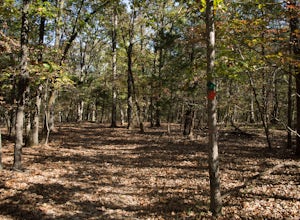 Hike the White Oak Trail