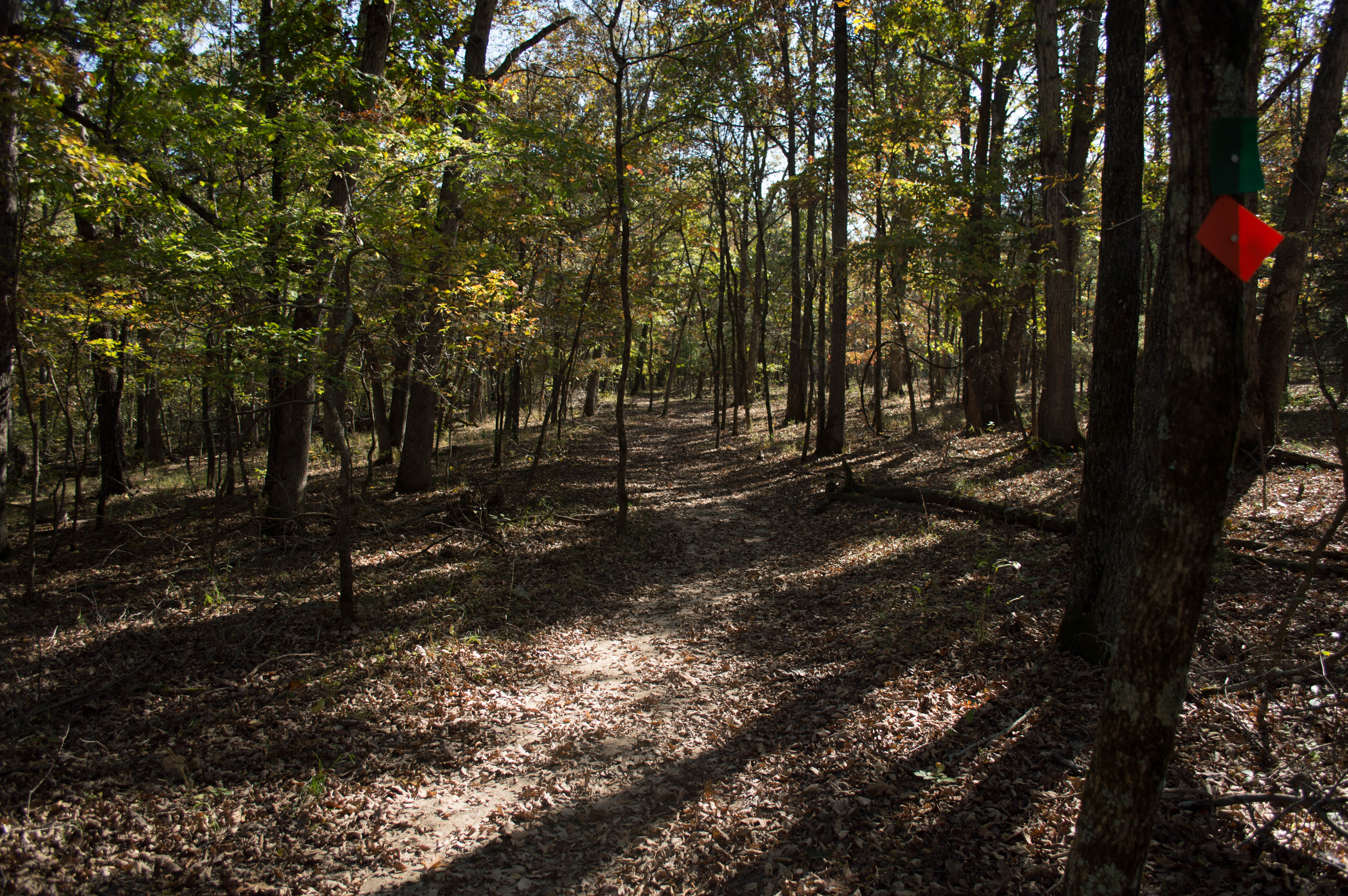 White Oak Trail