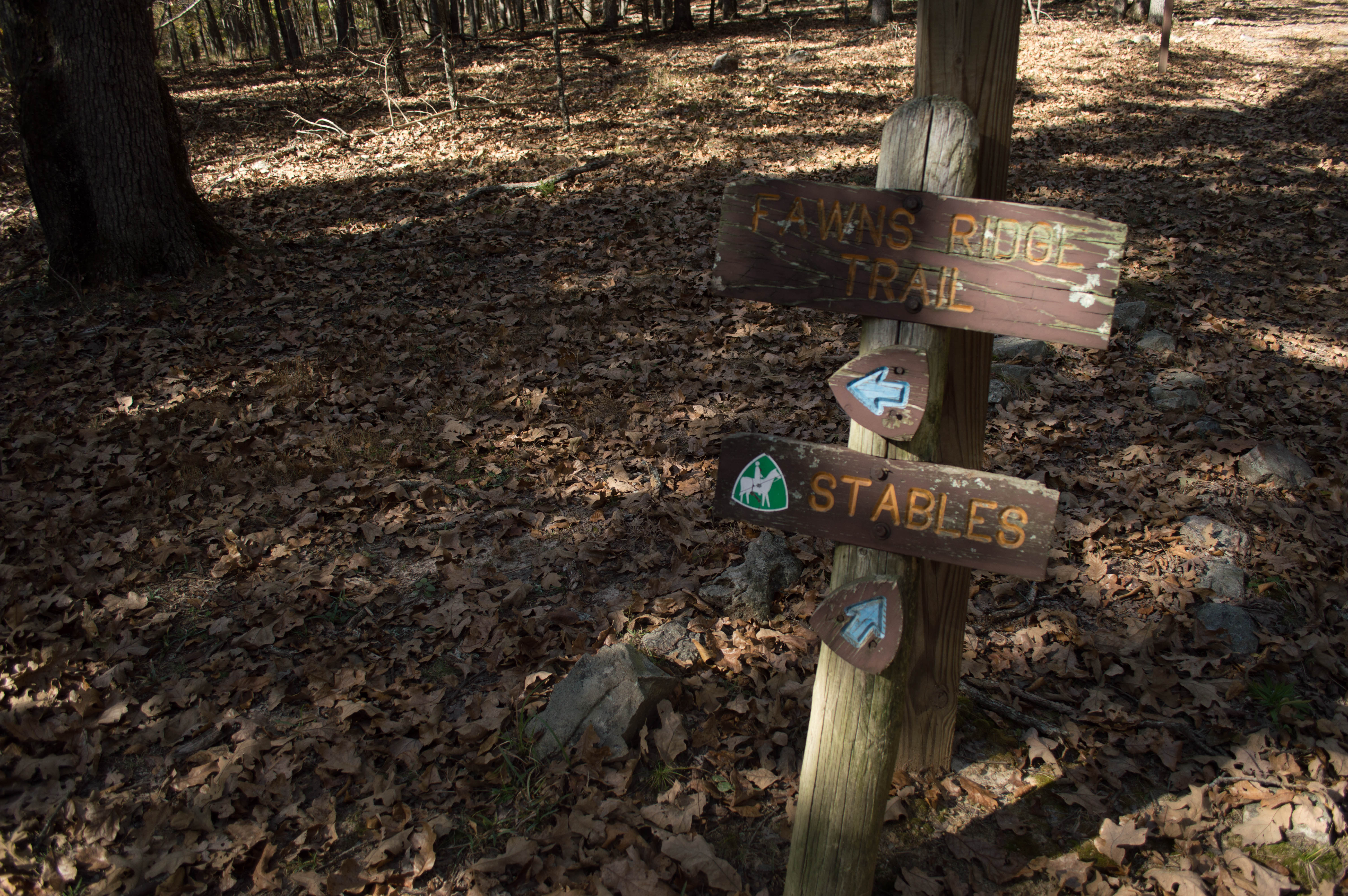 White Oak Trail