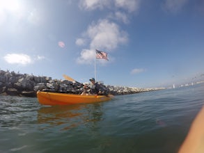 Kayak the Marina Del Rey Harbor