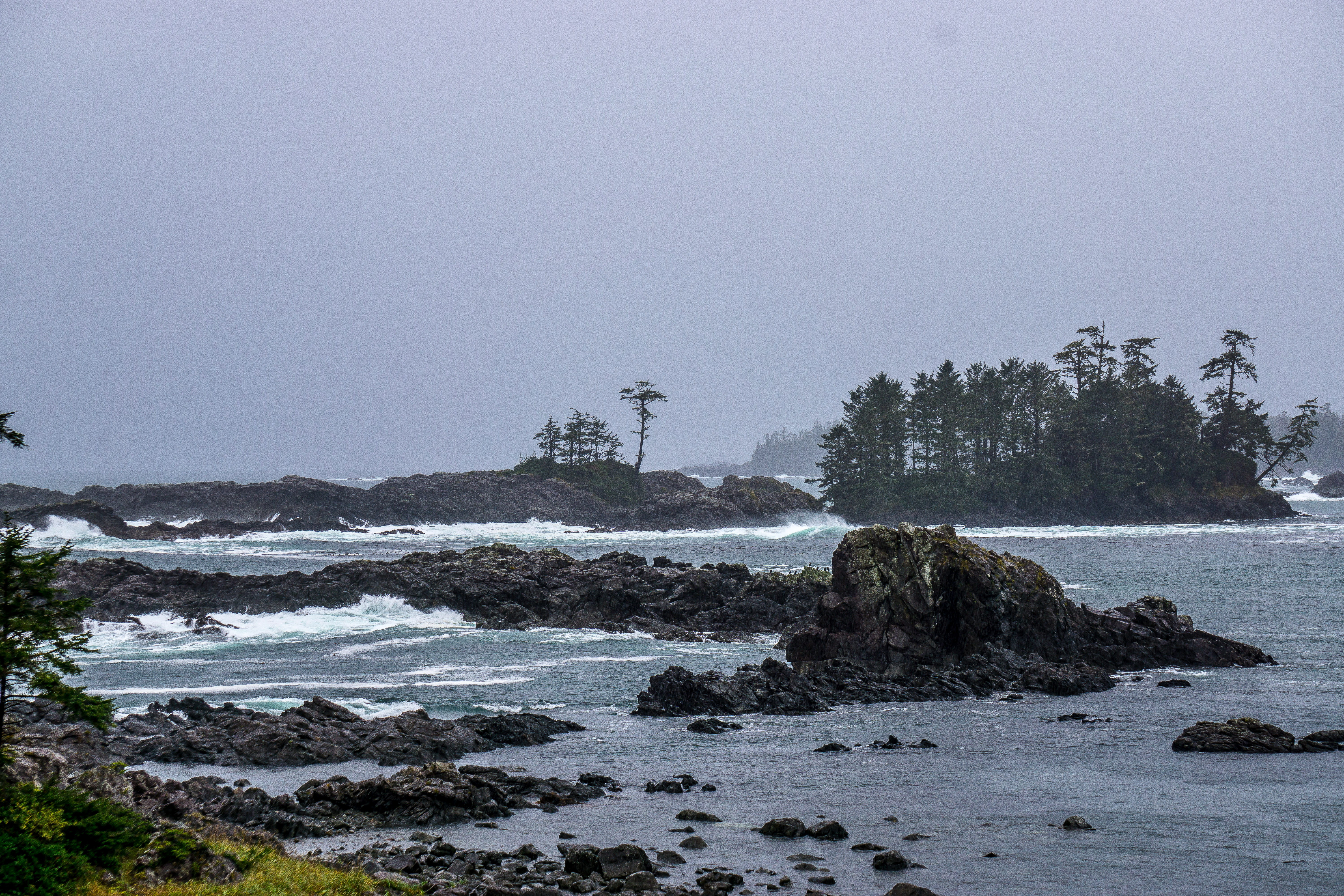 Hike the Wild Pacific Trail