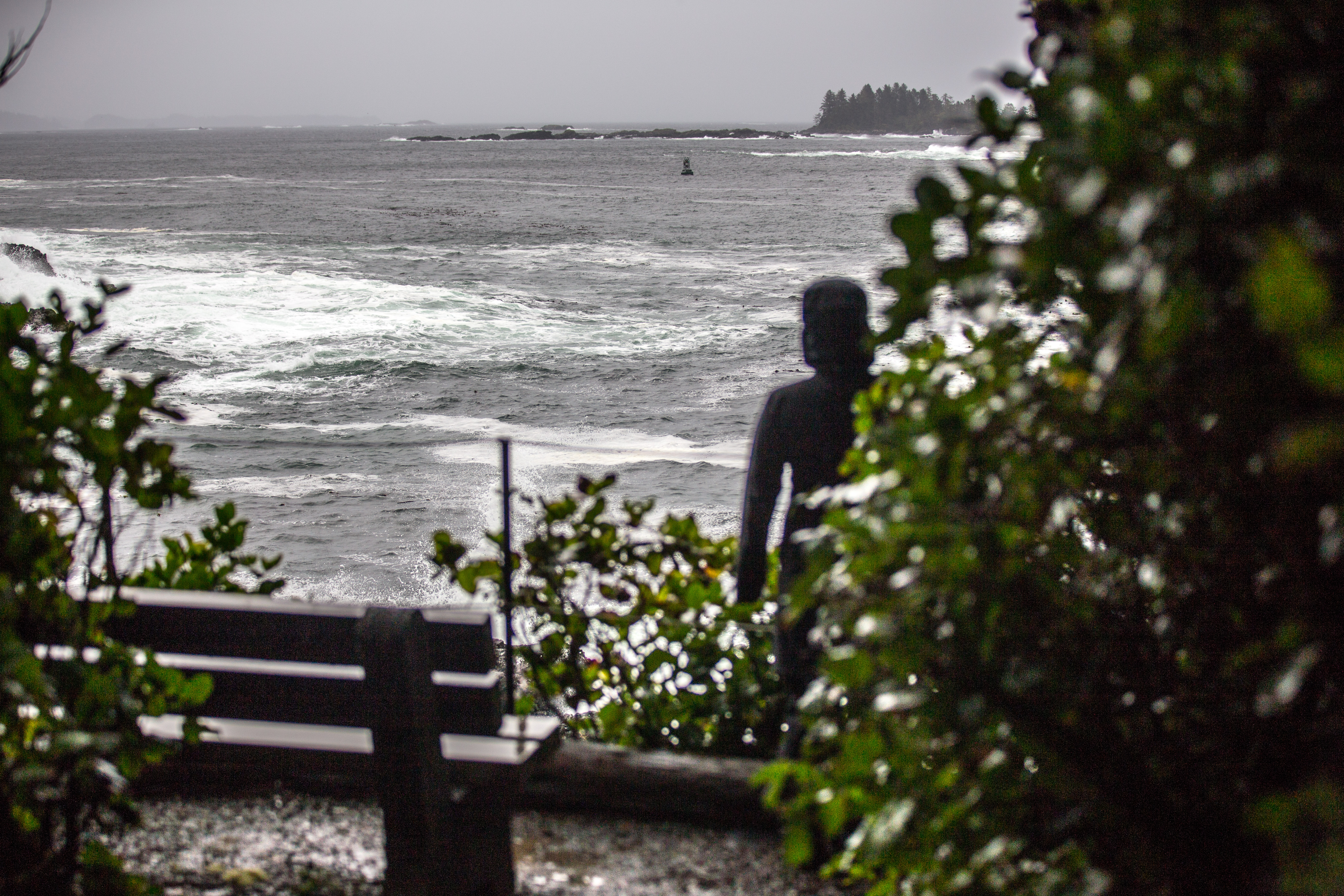 Hike the Wild Pacific Trail