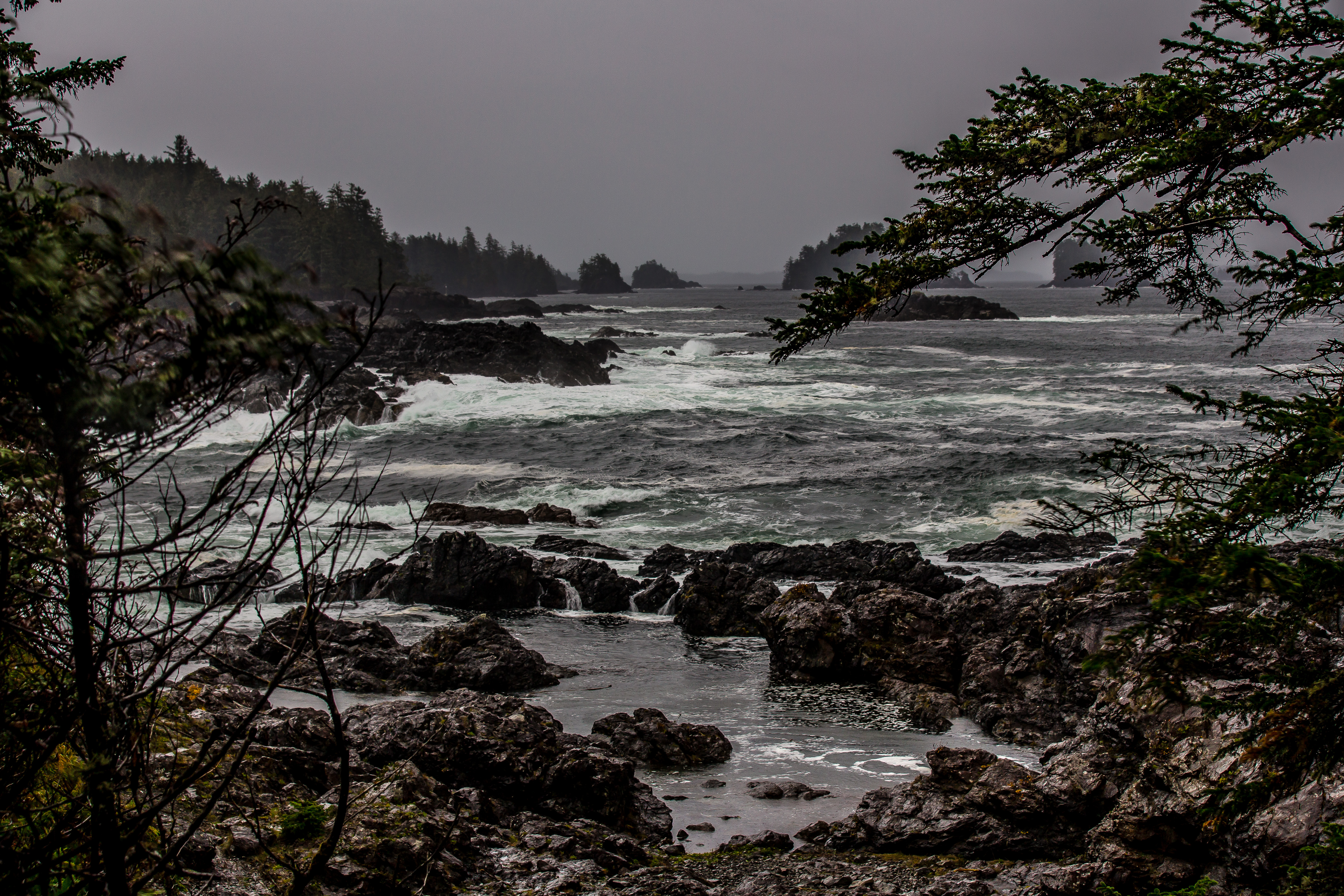 Hike the Wild Pacific Trail