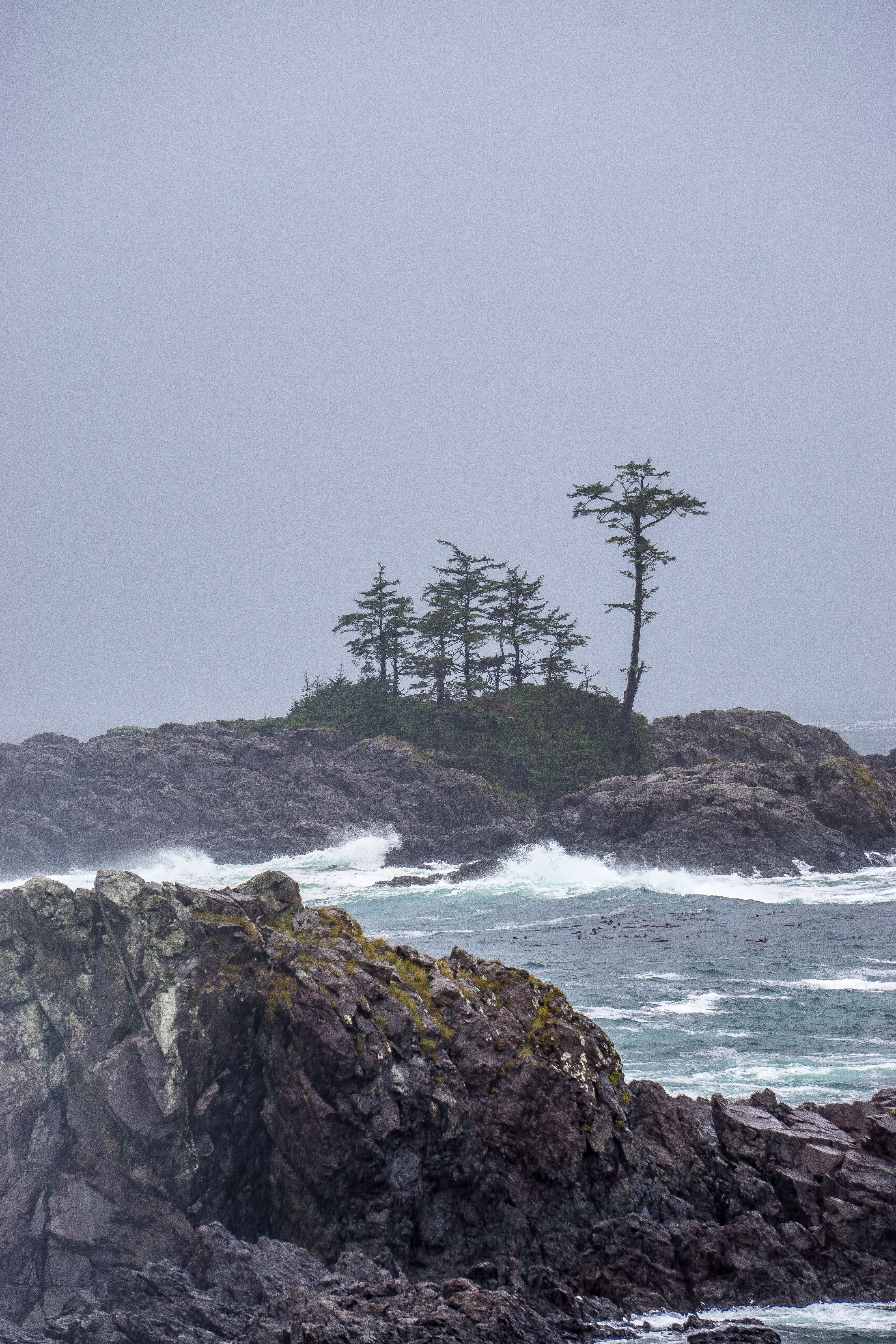 Hike the Wild Pacific Trail