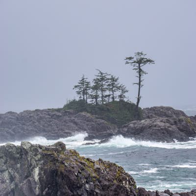 Hike the Wild Pacific Trail