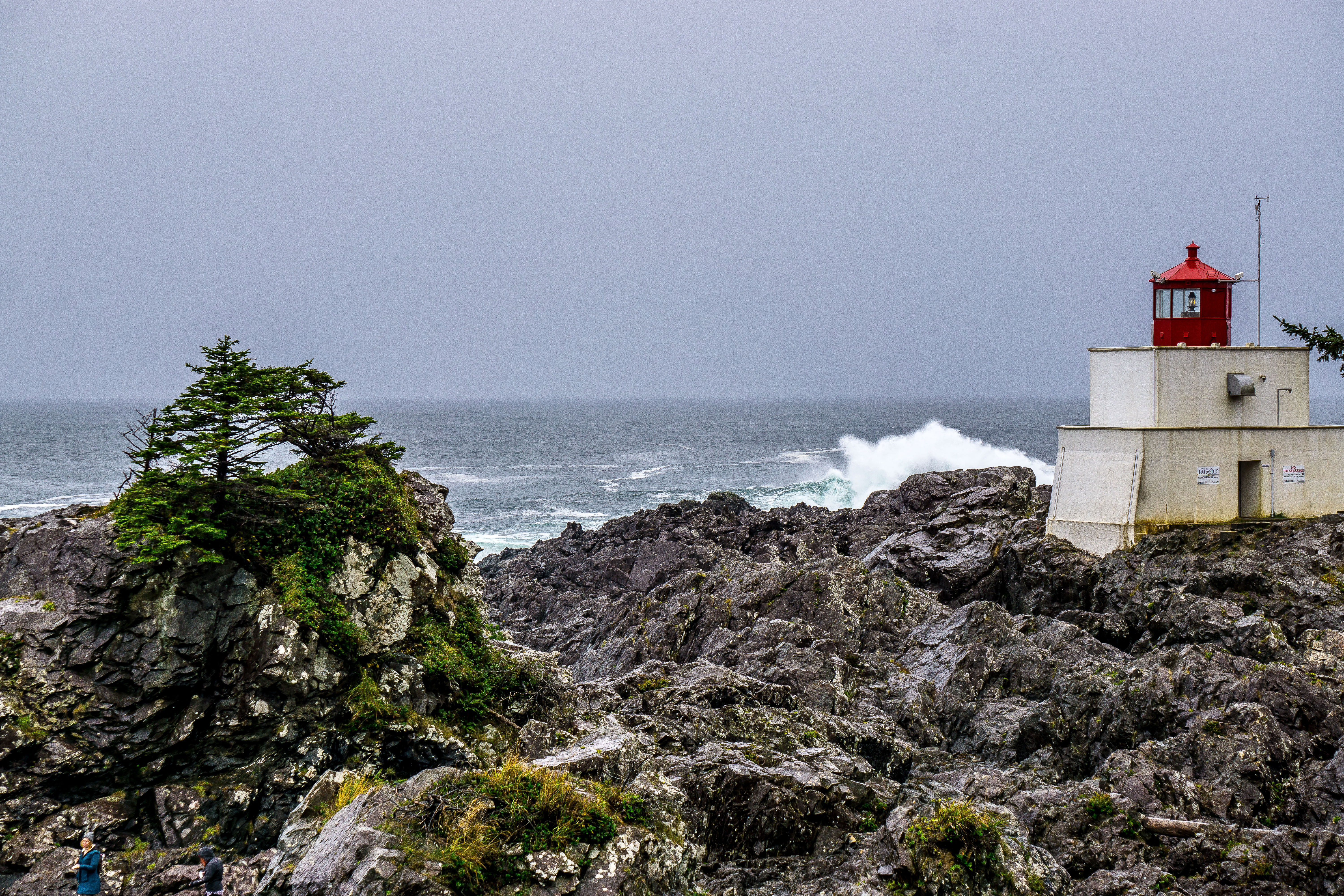 Hike the Wild Pacific Trail