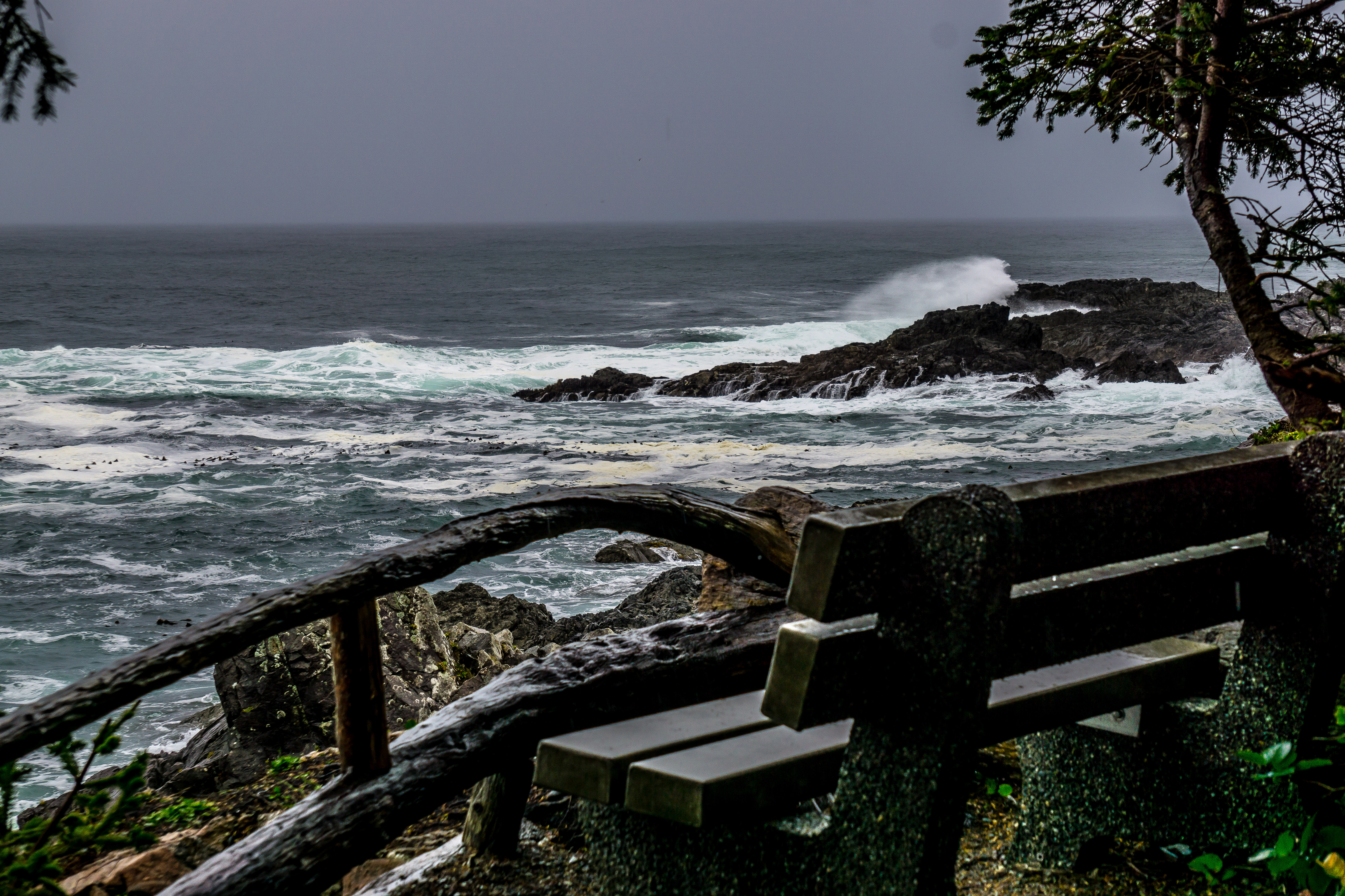Hike the Wild Pacific Trail