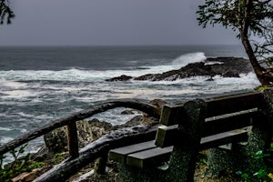 Hike the Wild Pacific Trail