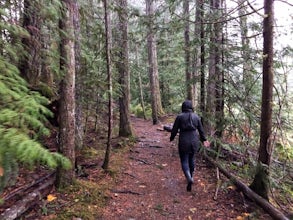 You Shouldn't Let the Rain Stop You from Hiking. Here's Why.