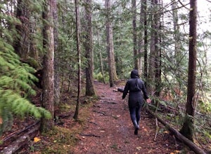 You Shouldn't Let the Rain Stop You from Hiking. Here's Why.