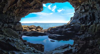 Photograph Anemone Sea Cave